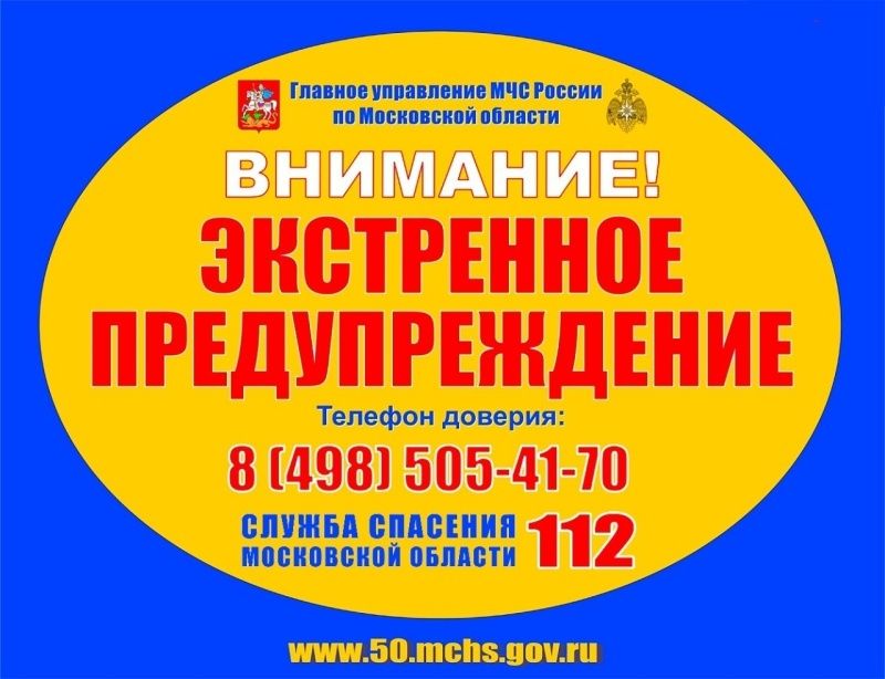 f84a8bd69852770f093fd94652b9521b__800x800.jpg