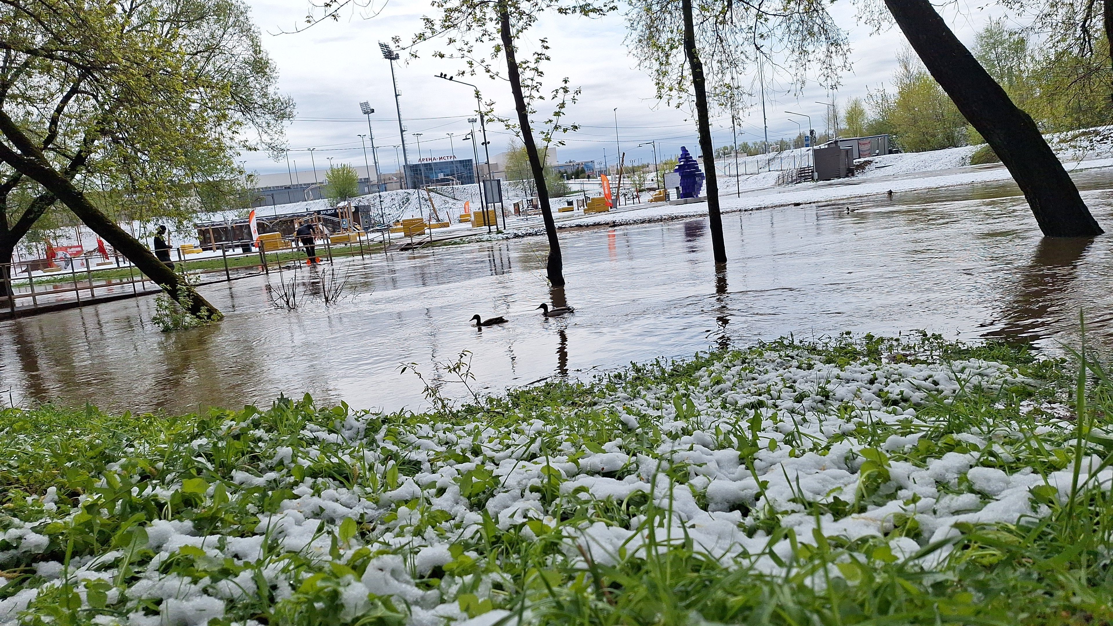 Парк на реке Песочной неожиданно лишился статуса парковой территории