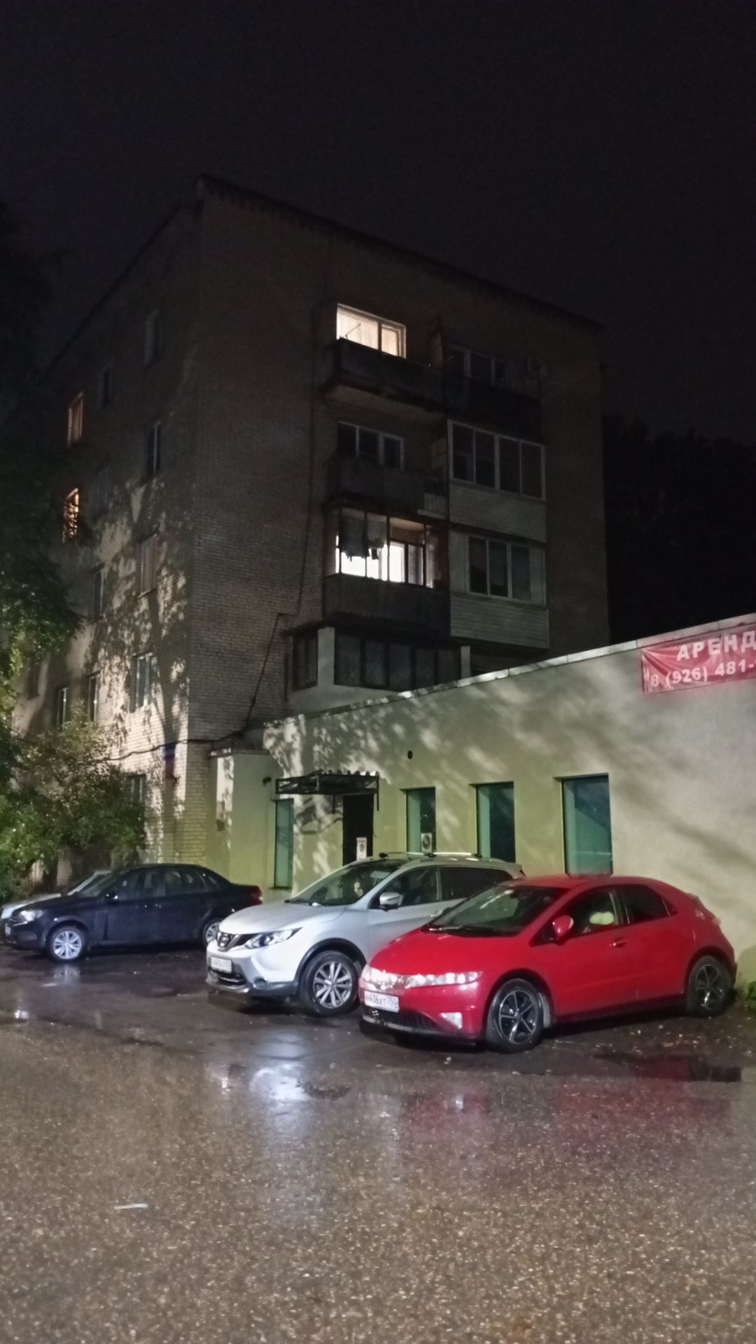 В Истре из пневматики ранили собаку