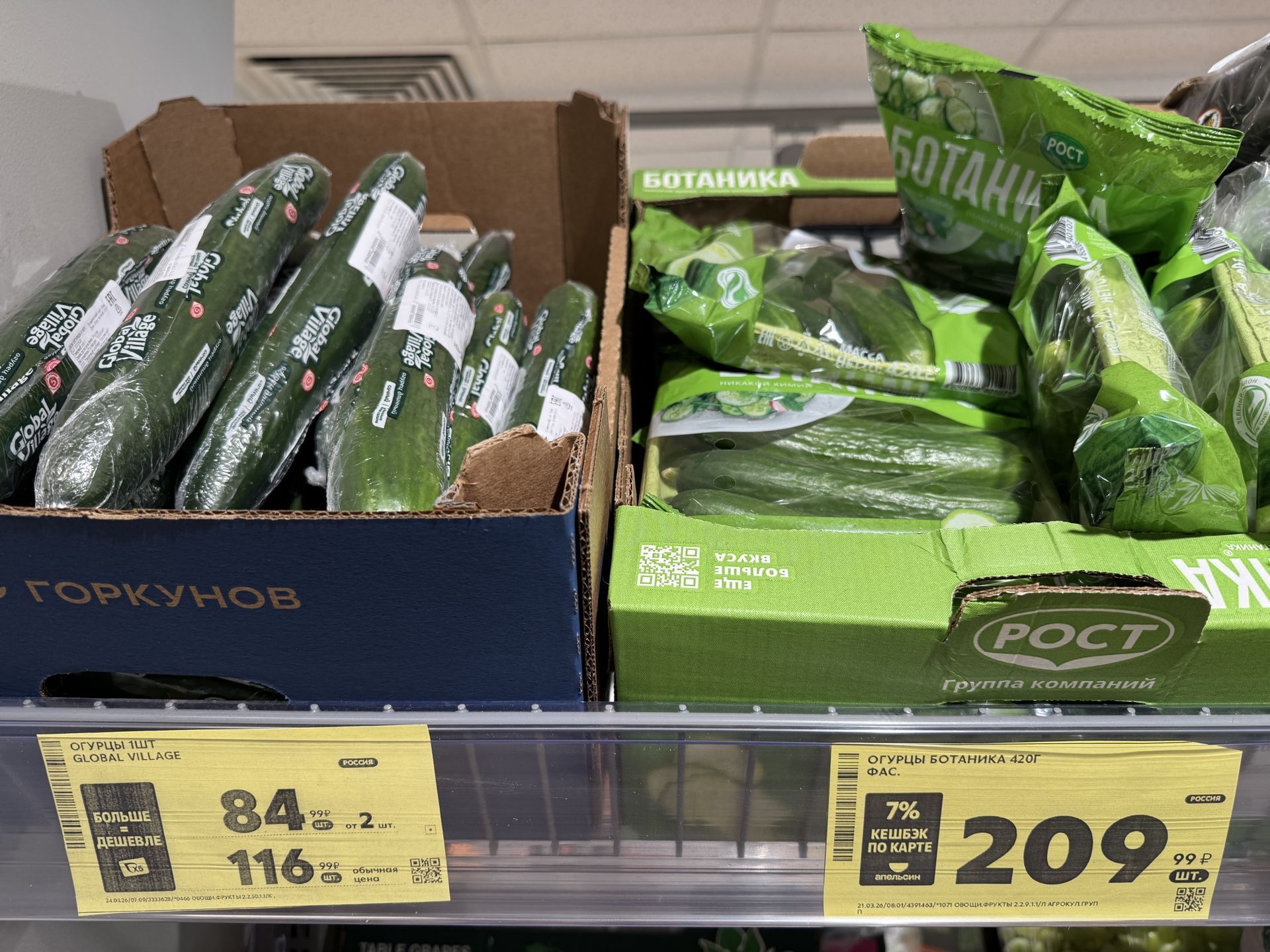 В Подмосковье вырастили более 22 тысяч тонн тепличных огурцов