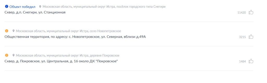 итог голосования.jpg