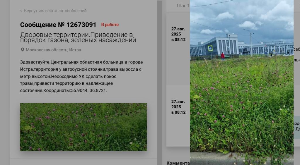 боль.jpg
