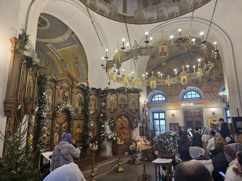 IMG_3687.jpeg IMG_3687.jpeg