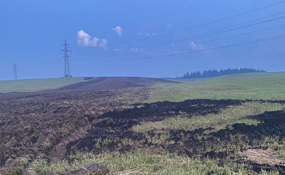 photo_2025-07-15_13-40-21 (2).jpg