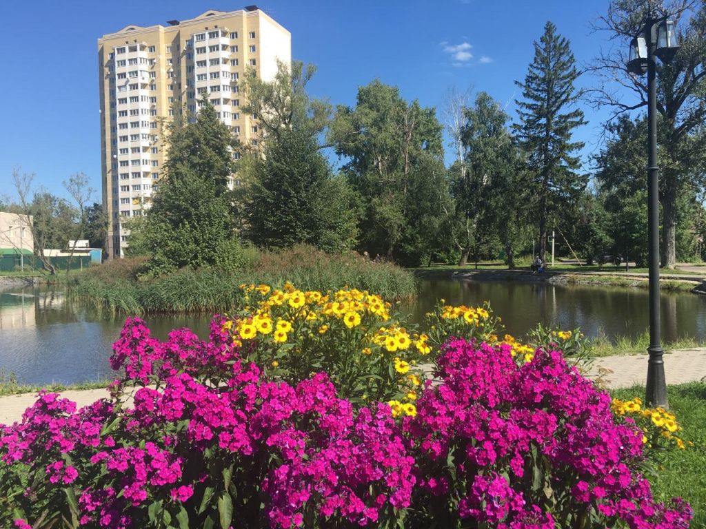 дедовск пруд 2017 год.jpg