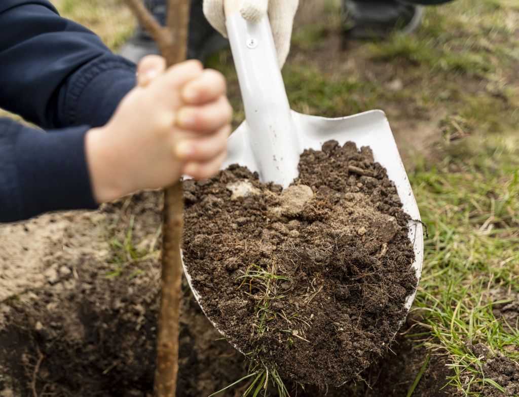 family-planting-together-outdoors.jpg