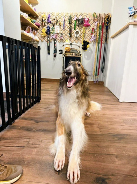 Screenshot at Feb 28 10-59-34.png