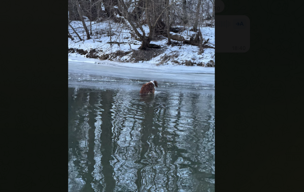 Screenshot at Feb 28 12-31-58.png