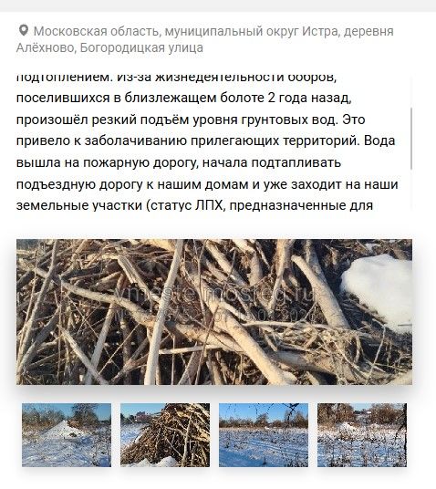 Screenshot_816.jpg Screenshot_816.jpg