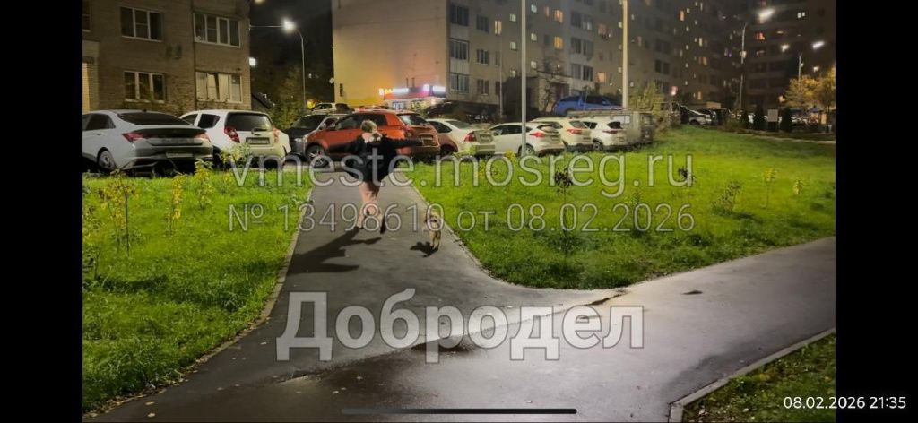 39575264-4324-4dea-a3b9-edd7324ddb1e.jpg 39575264-4324-4dea-a3b9-edd7324ddb1e.jpg