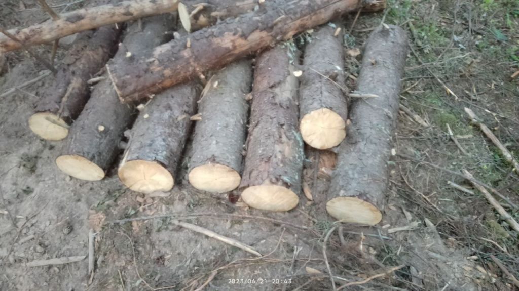 photo_2023-06-21_22-59-33.jpg photo_2023-06-21_22-59-33.jpg