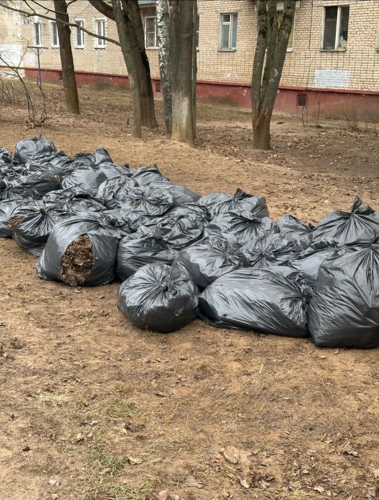 додхиб листья уборка1.jpg