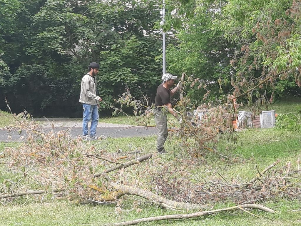день города сухостой 2.jpg