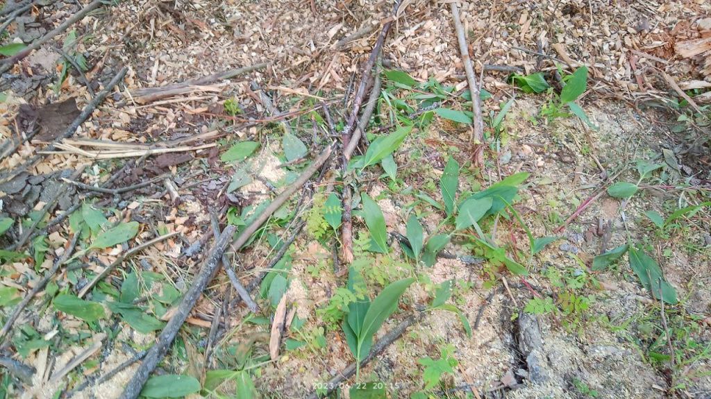 photo_2023-06-22_23-27-46.jpg photo_2023-06-22_23-27-46.jpg