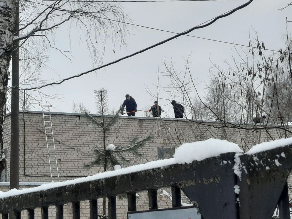 cf2511f5-ae40-4da1-98b4-68e8be46f43f.jpg cf2511f5-ae40-4da1-98b4-68e8be46f43f.jpg