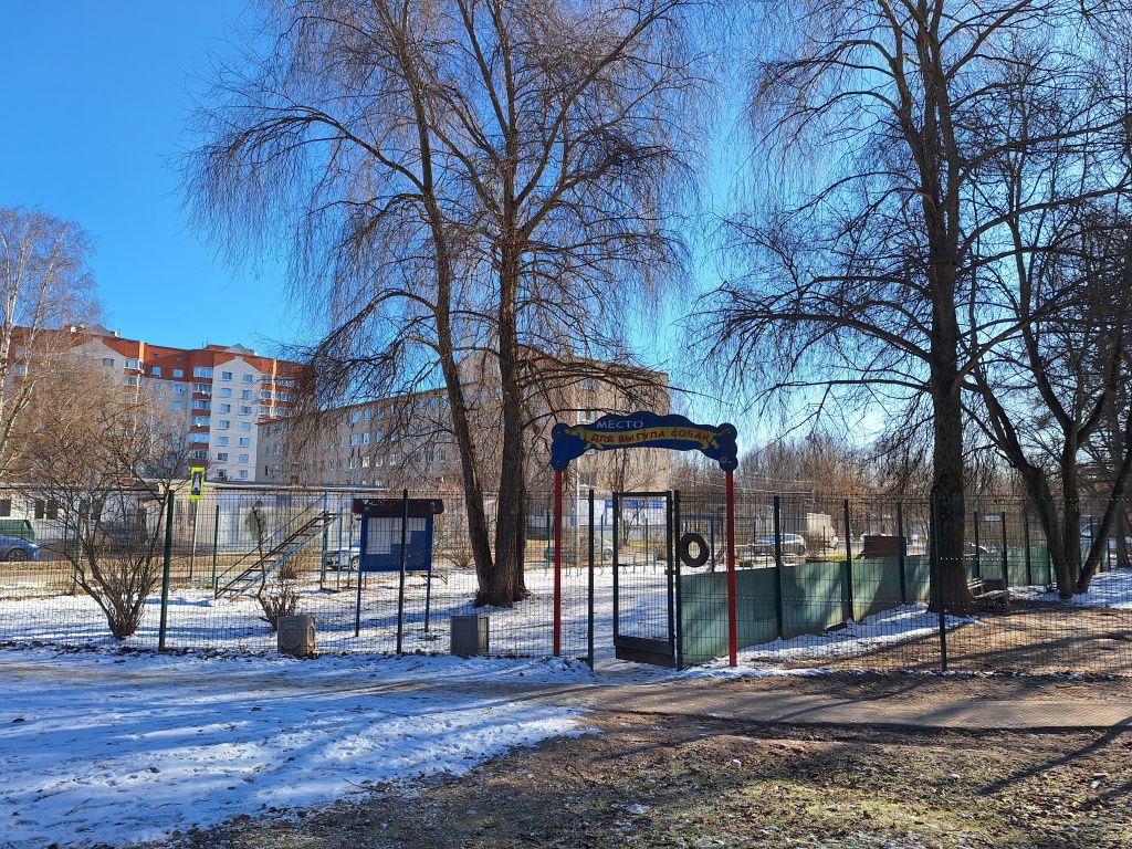 20250318_094544.jpg