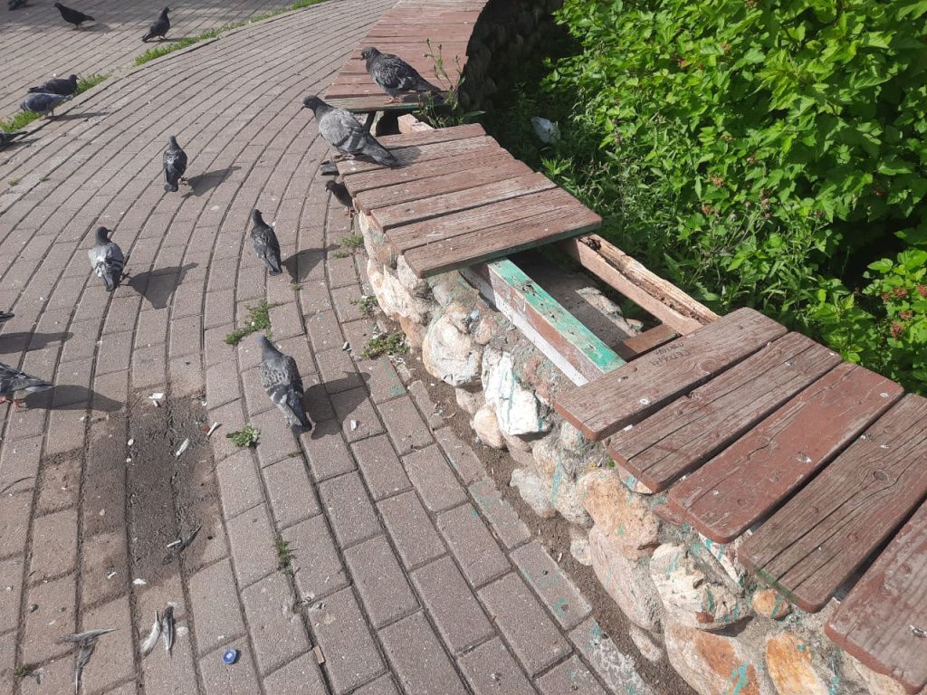 станция лавки дыра большая.jpg