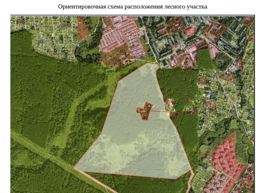 участок.jpg участок.jpg