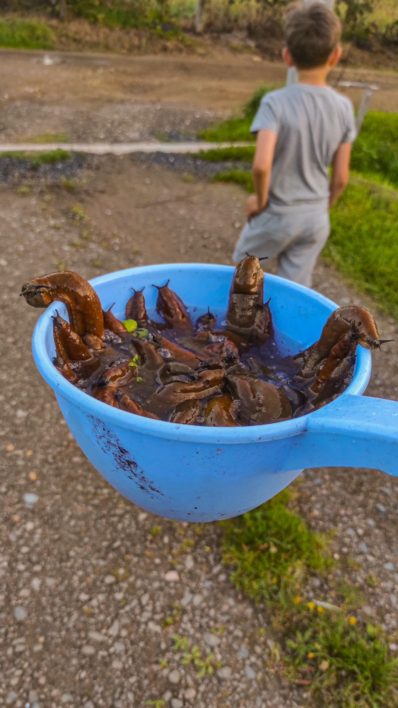 WhatsApp Image 2025-08-07 at 12.17.39 (2).jpeg