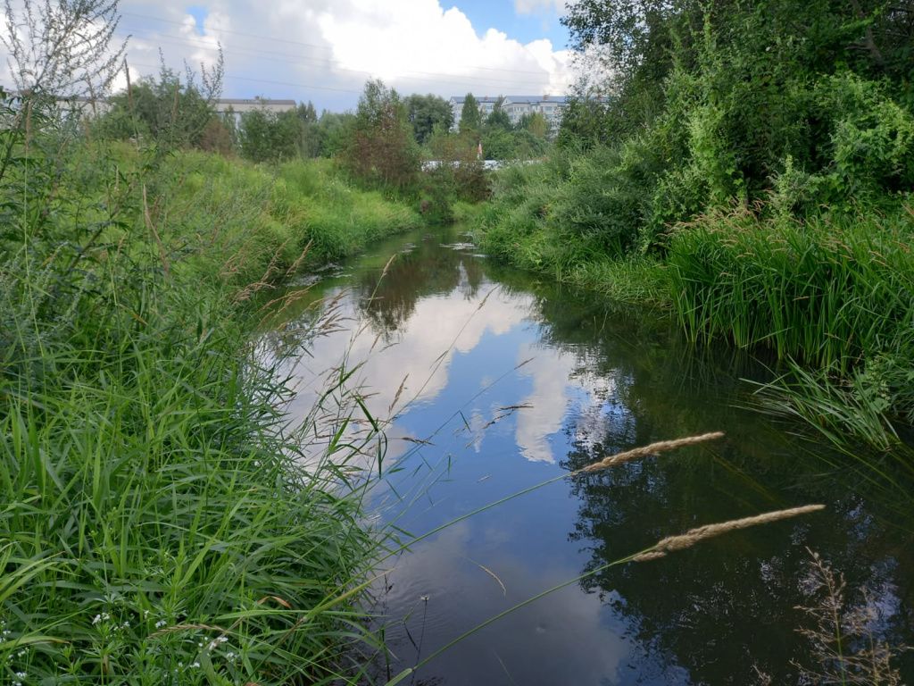 Без имени.jpg