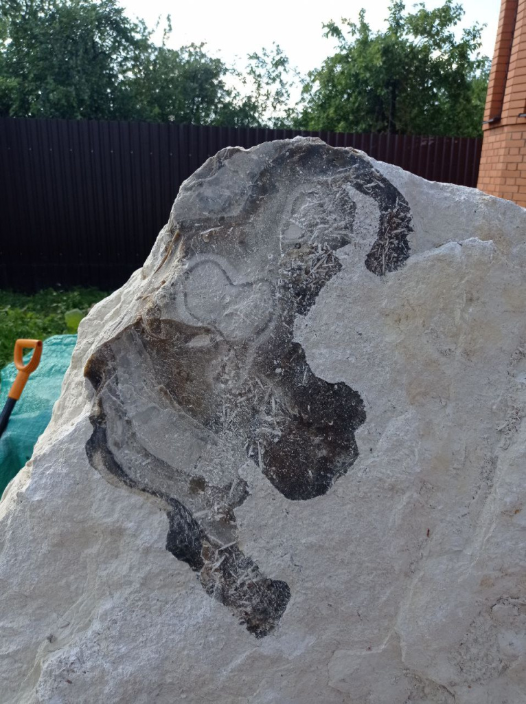 image-11-07-25-12-42 (1).jpeg