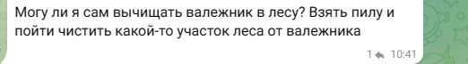 валежник.jpg