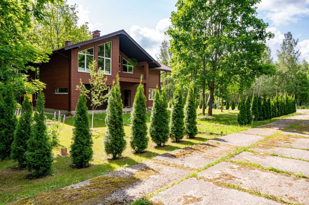 11d2d464-ee7a-47ef-95b2-9a6ddf6dd3d7 (1).jpeg 11d2d464-ee7a-47ef-95b2-9a6ddf6dd3d7 (1).jpeg