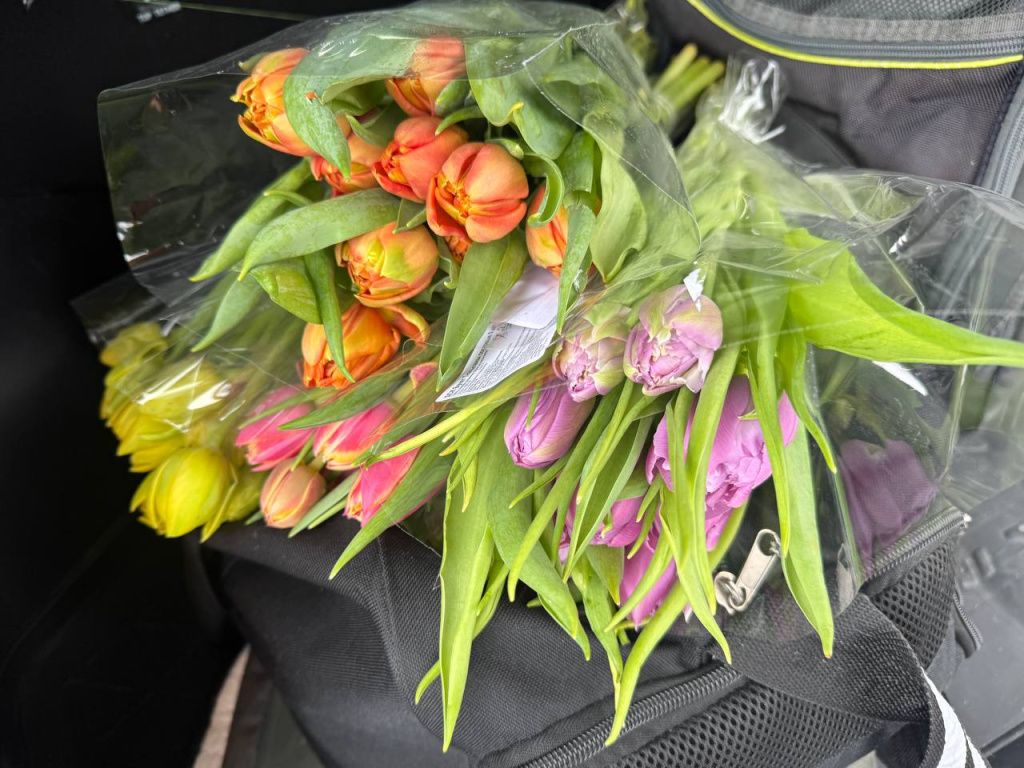 photo_2026-03-06_10-47-48.jpg photo_2026-03-06_10-47-48.jpg