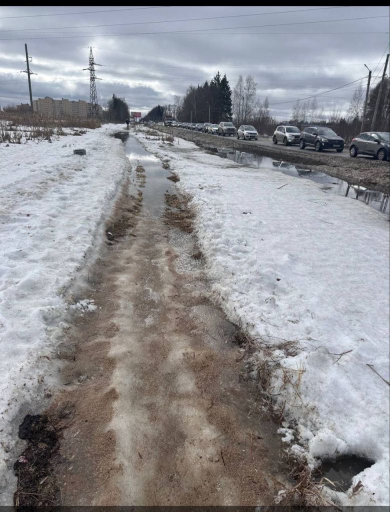 photo_2024-03-26_21-53-14.jpg photo_2024-03-26_21-53-14.jpg