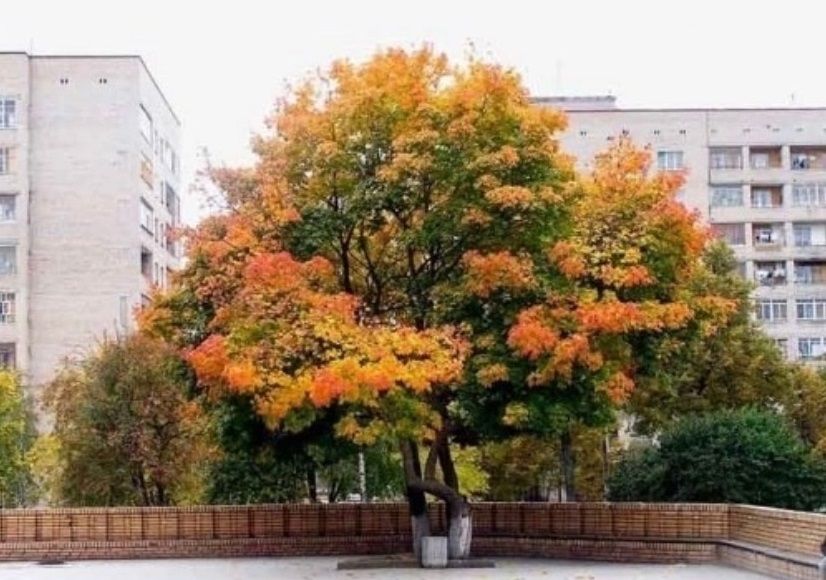 IcTZYQucZCg.jpg