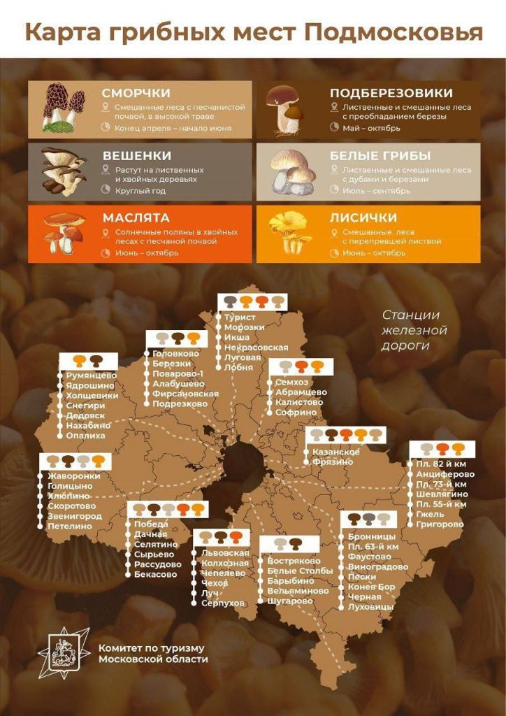 карта.jpg