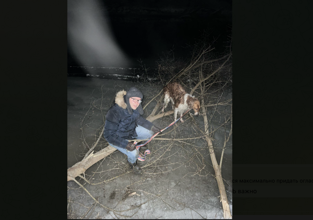 Screenshot at Feb 28 12-31-21.png