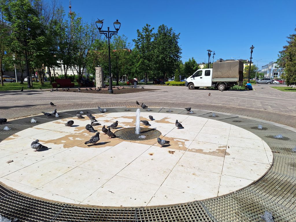 20250528_094815.jpg