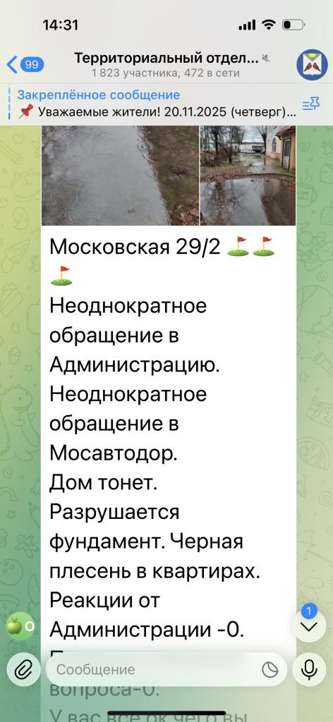 IMG_2538 (2).PNG