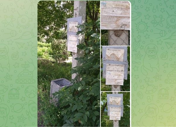 босова расписание.jpg