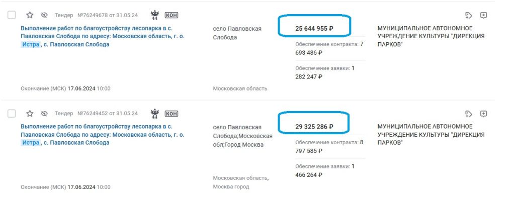 тендер парк.jpg