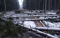 Комфортная пешеходная зона в Глебовском превратилась в испытательный трек