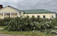 Варварскую вырубку деревьев в Снегирях объяснили расчисткой ЛЭП