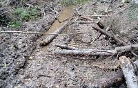 «Благоустройство» за счёт природы: что происходит в лесопарке у Алёхново