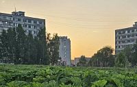 Вечерний смрад в Глебовском вынуждает держать окна закрытыми