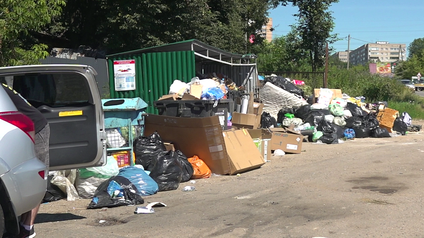 На ликвидацию стихийных свалок в Истринском округе заложили на треть меньше прежнего