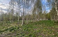 В Новопетровском выставлен на аукцион участок без коммуникаций под магазин