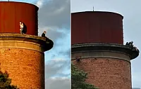 На водонапорной башне в Снегирях заметили детей