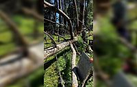 Сильный ветер разрушил десятки захоронений в Назарово
