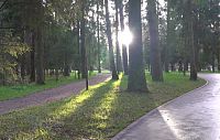 Почему пешеходы в лесопарке не ходят по гравийным дорожкам, предпочитая лыжероллерные трассы