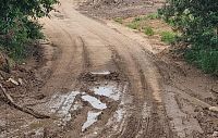 «Светлогорье» превратилось в свалку