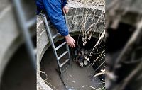«Истранет» держит сеть без сбоев