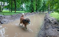 Замминистра, посетившего Истру, не пригласили на «водную прогулку» по тротуарам