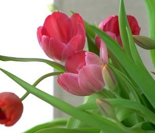 О чем мечтают женщины и какими их хотят видеть мужчины?