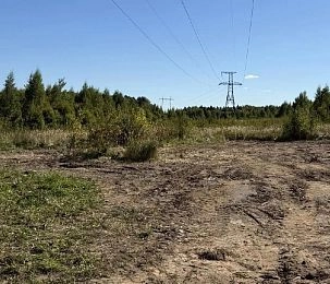 В округе Истра заработал обновлённый регламент по выдаче разрешений на использование муниципальных земель 